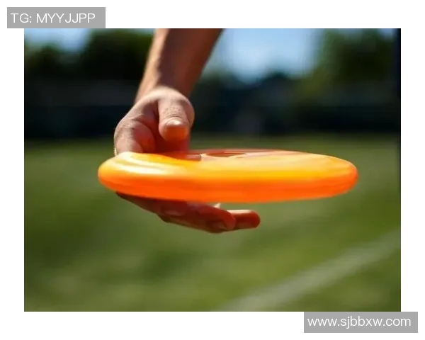 飞盘运动的魅力与挑战：深入探讨西安飞盘队的灵活性与团队合作精神